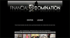 Desktop Screenshot of financialdomination100.com